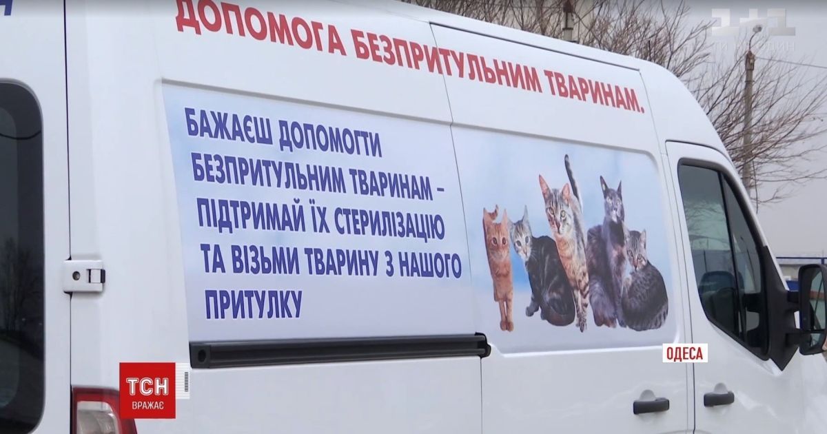 В Одессе появилась первая в Украине скорая помощь для животных