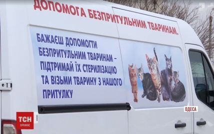 В Одессе появилась первая в Украине скорая помощь для животных