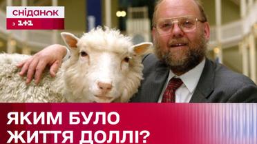 Історія Доллі: Яке життя було в першої клонованої істоти?