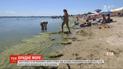 Экологи предполагают, что море в Одессе будет "цвести" как минимум несколько недель, а то и месяц