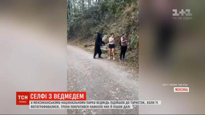 У Мексиці ведмідь неабияк налякав туристок, коли ті фотографувалися