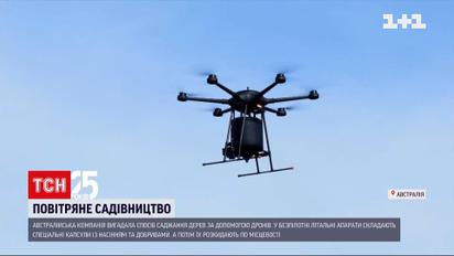 В Австралии тестируют способ посадки деревьев с помощью дронов | Новости мира