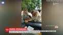 Голодные обезьяны пытались украсть из автомобиля пачку печенья