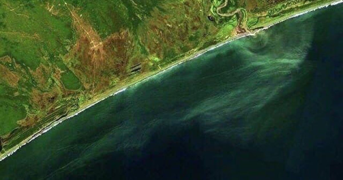 Екологічна катастрофа на Камчатці: людей закликали утриматися від відвідування пляжу