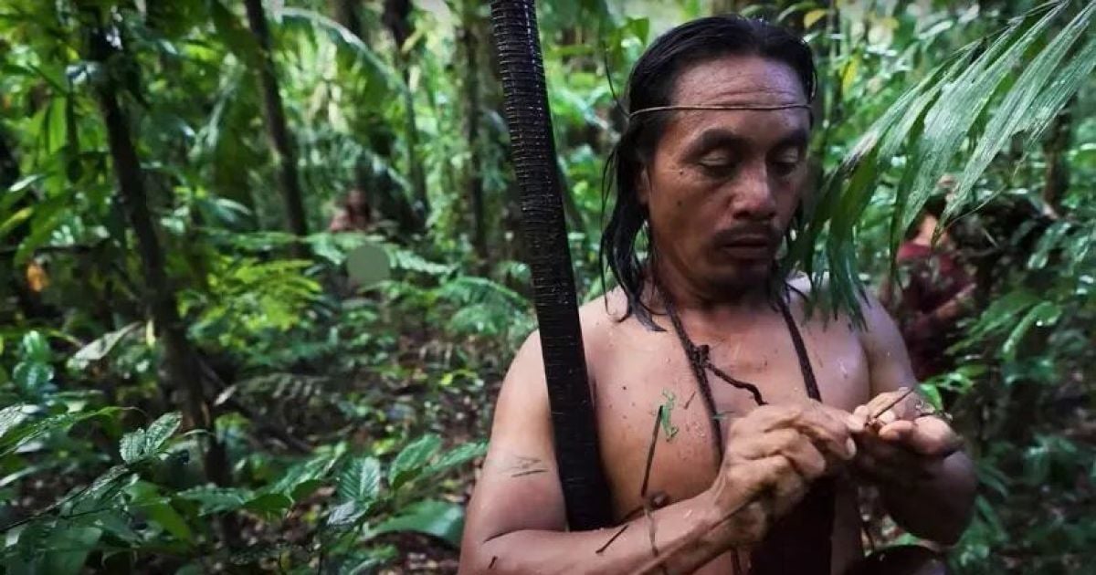 Дикие племена джунглей порно видео на pornocom