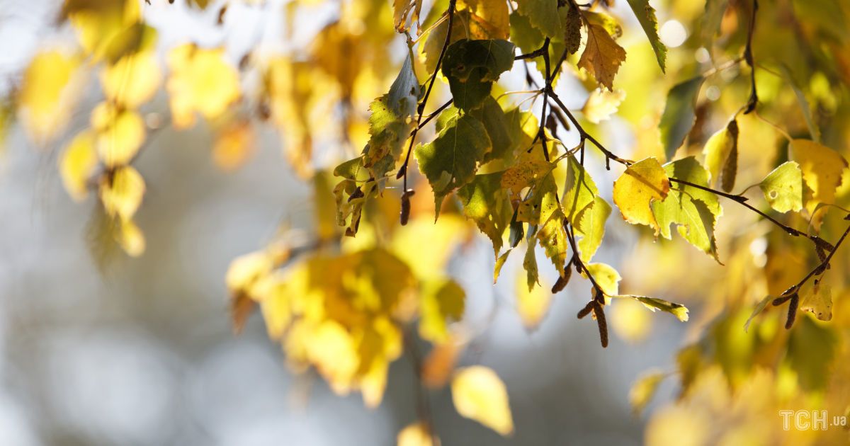 Гороскоп 9-15 сентября 2024 года