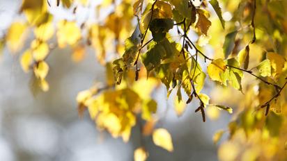 Гороскоп на 12 вересня