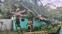 Рівненщину накрив буревій