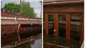 СЕКРЕТНИЙ КОРАБЕЛЬ ЯНУКОВИЧА ПІШОВ ПІД ВОДУ! Що він приховував?