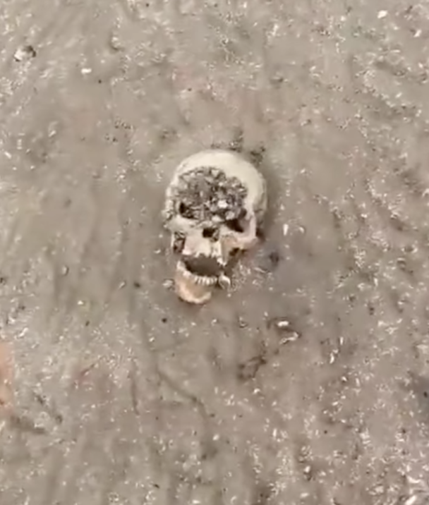 На дні Каховського водосховища знайшли людські черепи. Фото: скриншот. / © 