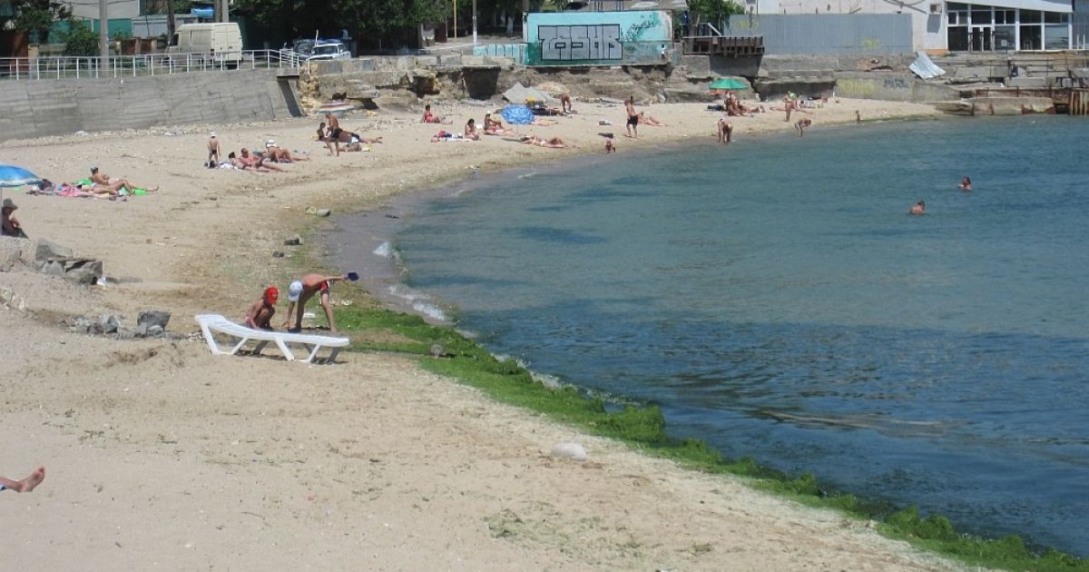 Обнаженные красотки с семечками на пляже Одессы рассмешили подглядывающего мужчину