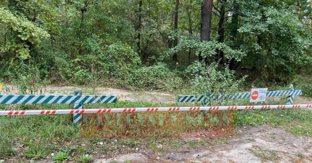 Напавших на Шефира разыскивают с вертолетов, а лес прочесывают десятки нацгвардийцев