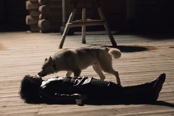  / © Пресс-служба студии "Квартал 95"