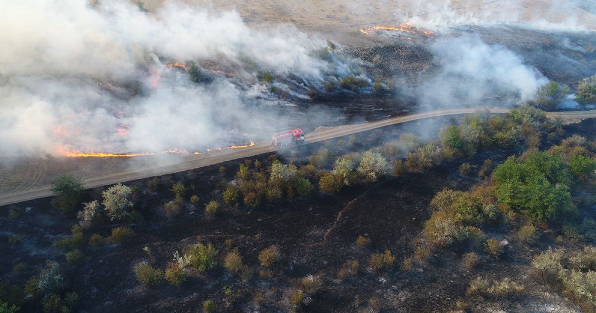 Пожежа в заповіднику Миколаєва_1 / © Державна служба України з надзвичайних ситуацій у Миколаївській області
