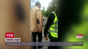 П'яній водійці з Вінниці нарешті винесли вирок