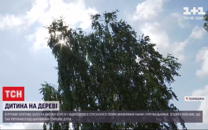 Во Львовской области 8-летний мальчик забрался на дерево и отказывался спускаться: его снимали спасатели