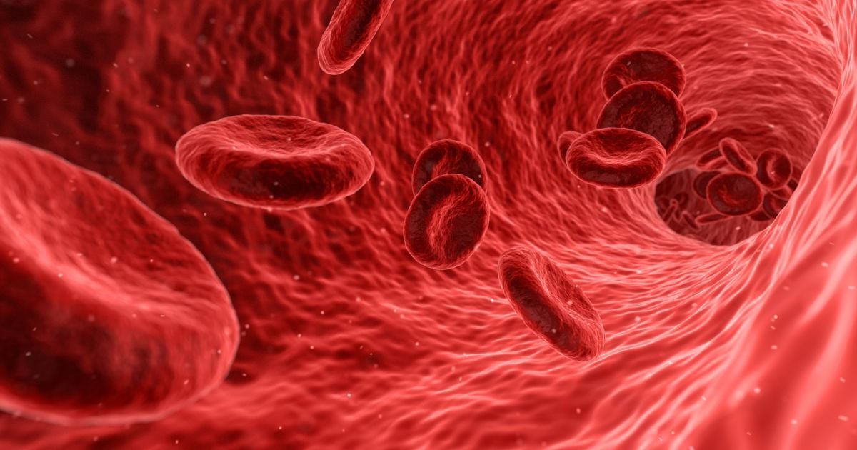 Учені розробили методи трансформації будь-якої крові для універсального переливання