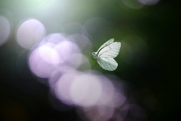 Народні прикмети 12 вересня / © unsplash.com