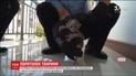 Китайские полицейские спасли на обочине дороги маленькую обезьянку