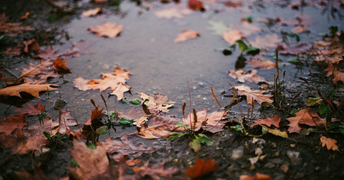 Погода в Украине