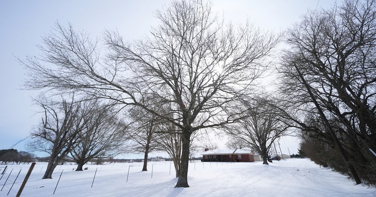 Похолодання повертається