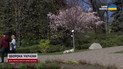 Синоптики рассказали, какой будет погода на этой неделе