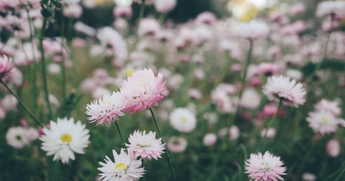 Какой праздник 26 мая?