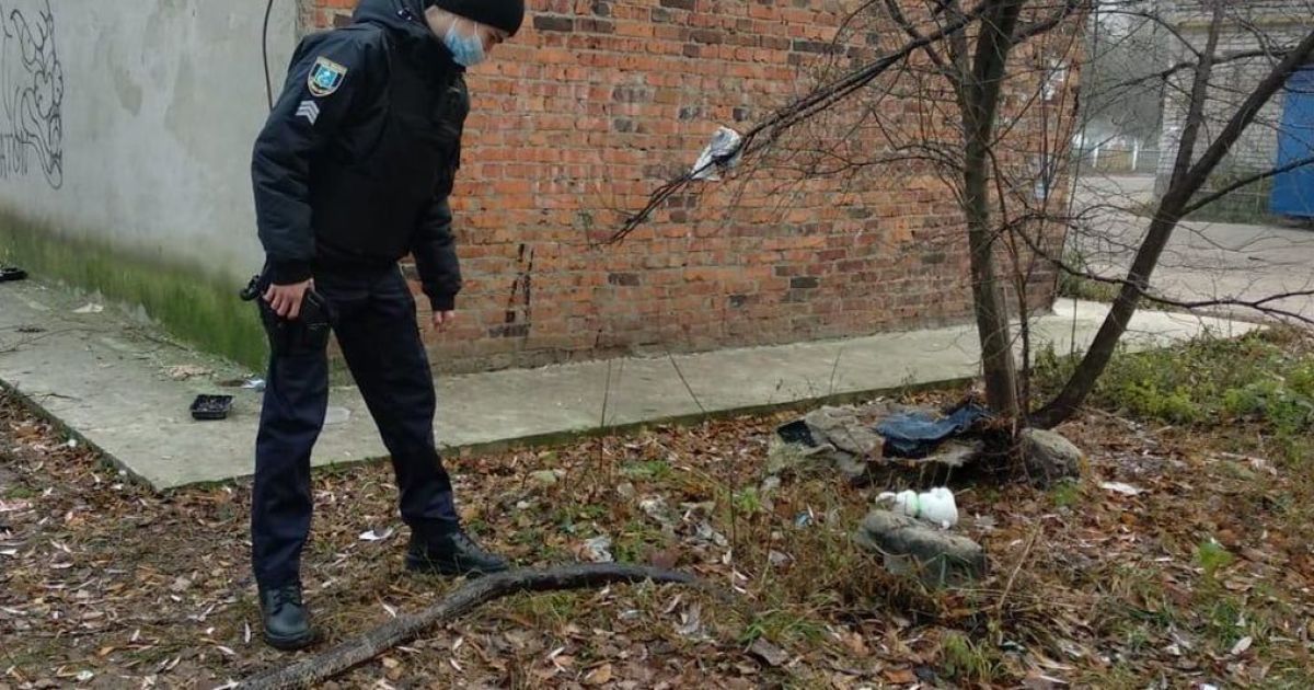 В Шостке посреди улицы нашли 3-метрового питона