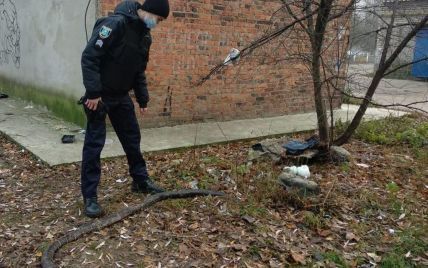 В Шостке посреди улицы нашли 3-метрового питона