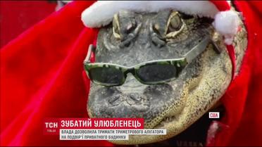 Власниця триметрового алігатора відстояла своє право тримати хижака вдома