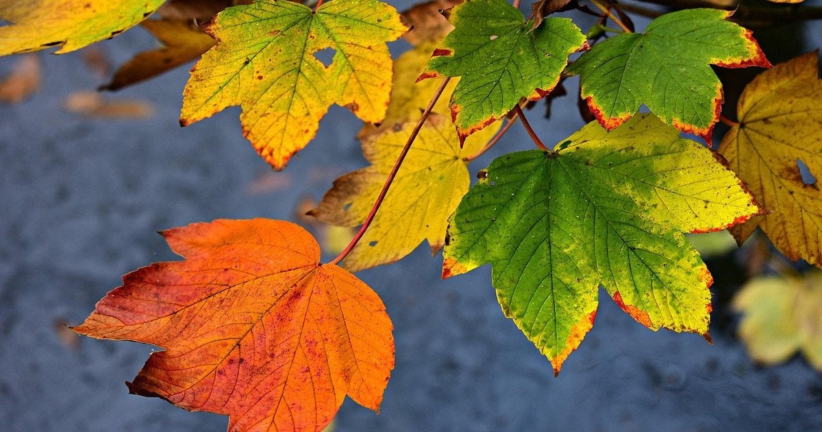 Прогноз погоды в Украине