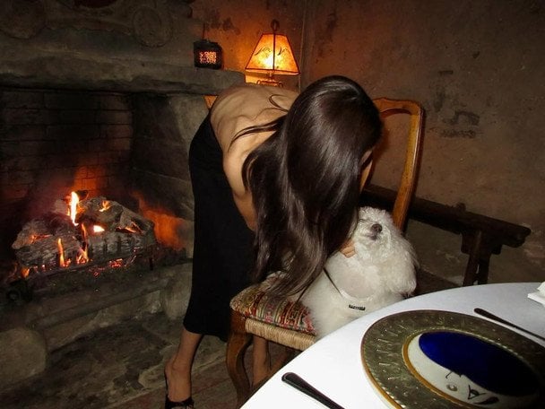 Нікола Пельтц зі своїм собакою Лембом / © Instagram Брукліна Бекхема