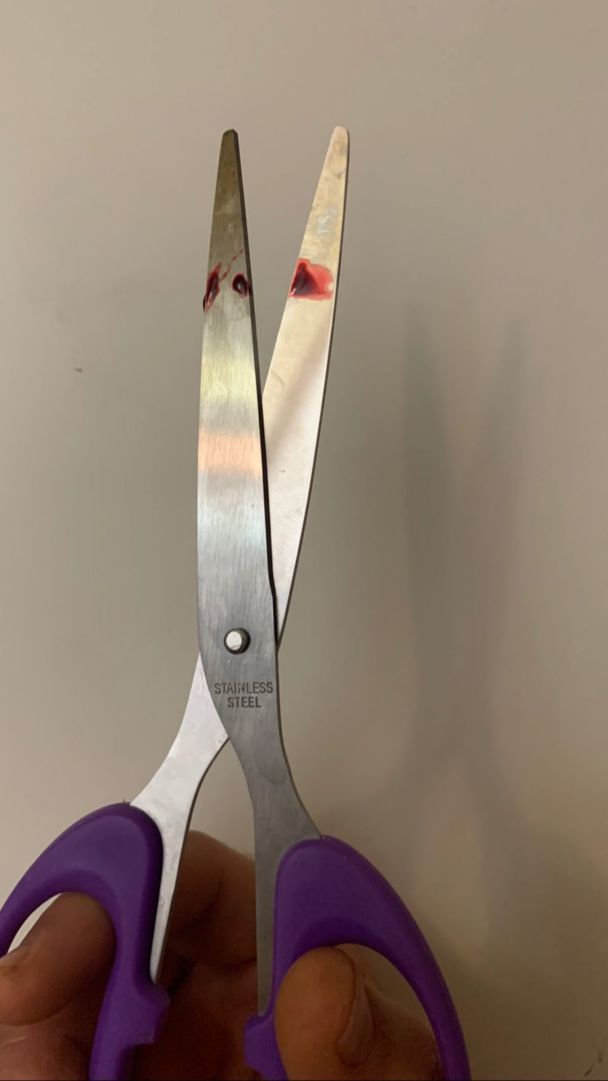  / © instagram.com/youra.bardash