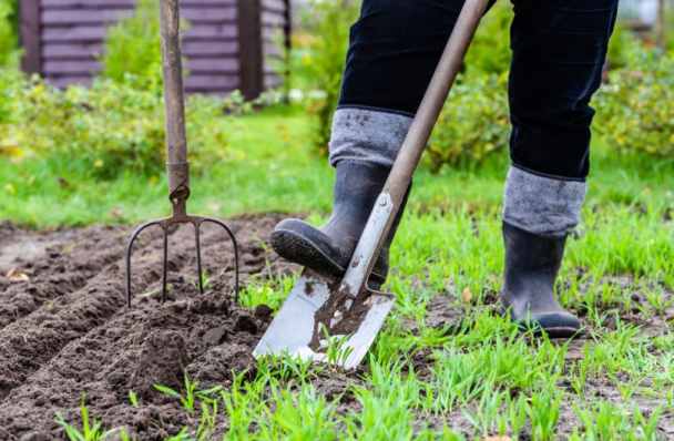 Що робити у квітні на городі: які сільськогосподарські культури висаджувати у відкритий ґрунт