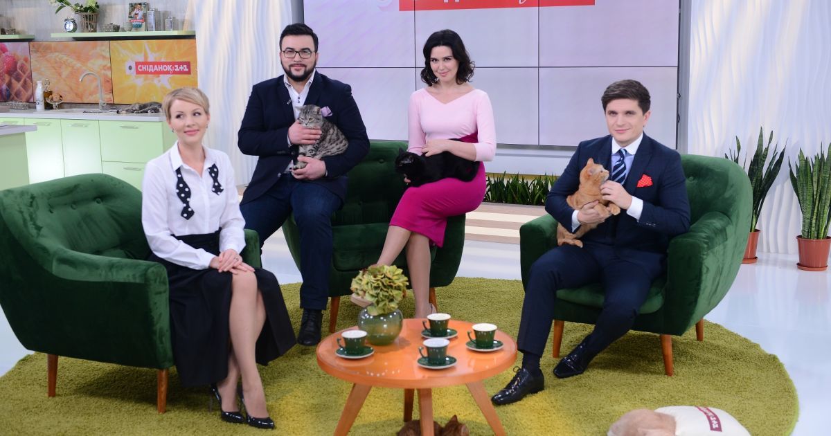 "Сніданок з 1+1" проведет благотворительный аукцион, посвященный бездомным животным