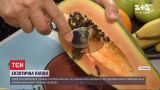 Родом з тропіків: чим корисна екзотична папая і яка її ціна в Україні
