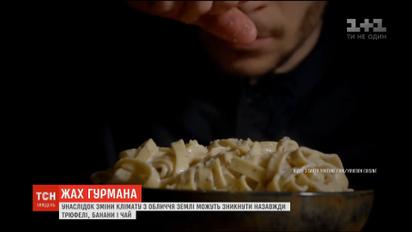 Вследствие изменения климата с лица Земли могут исчезнуть навсегда трюфели, бананы и чай
