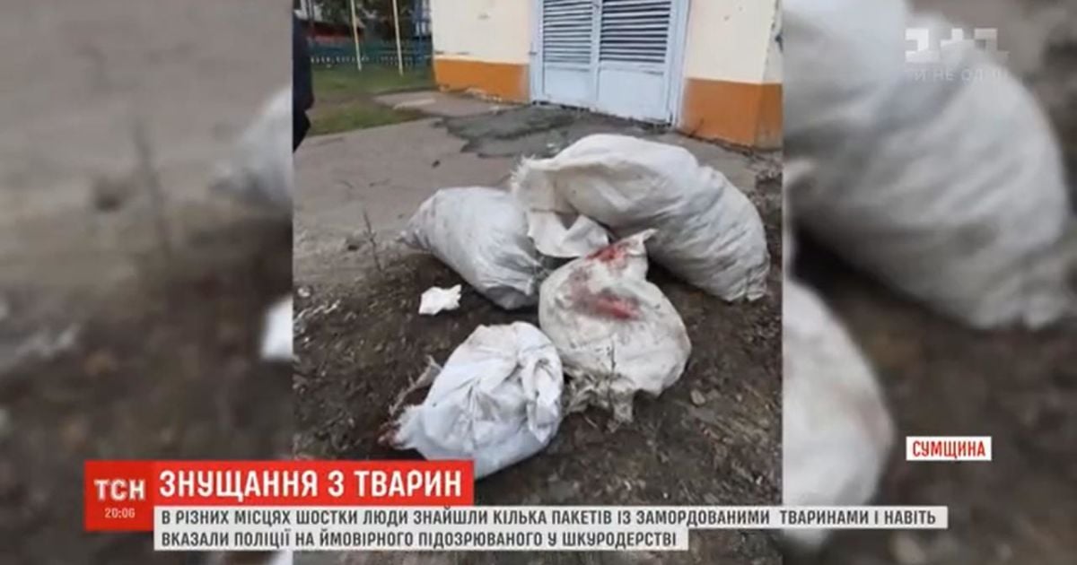 У Шостці знайшли кілька мішків та пакетів із вбитими котами і собаками