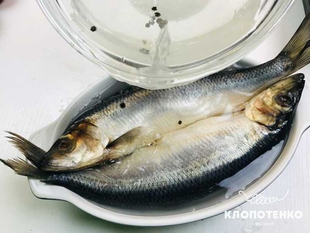  / © klopotenko.com