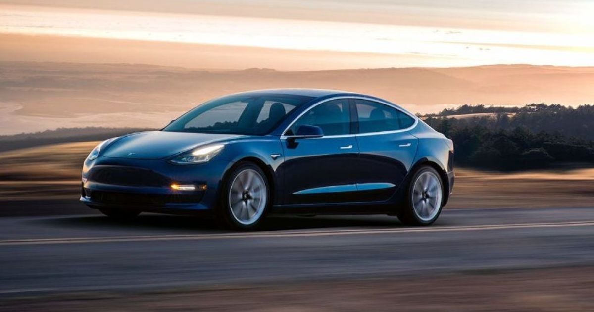 Во Флориде Tesla Model 3 на автопилоте влетела в дерево и загорелась: водитель и пассажир сгорели заживо