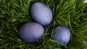 Фіолетові яйця.