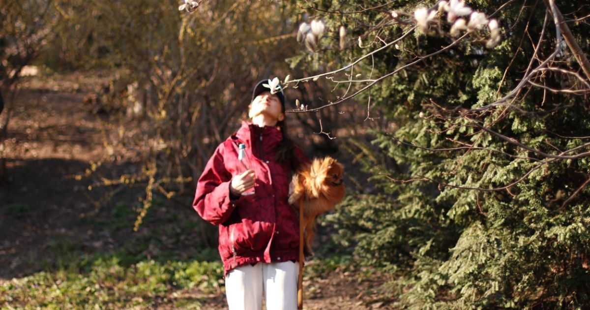 У Києві зацвіли магнолії