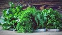 Как заготовить укроп и петрушку на зиму.