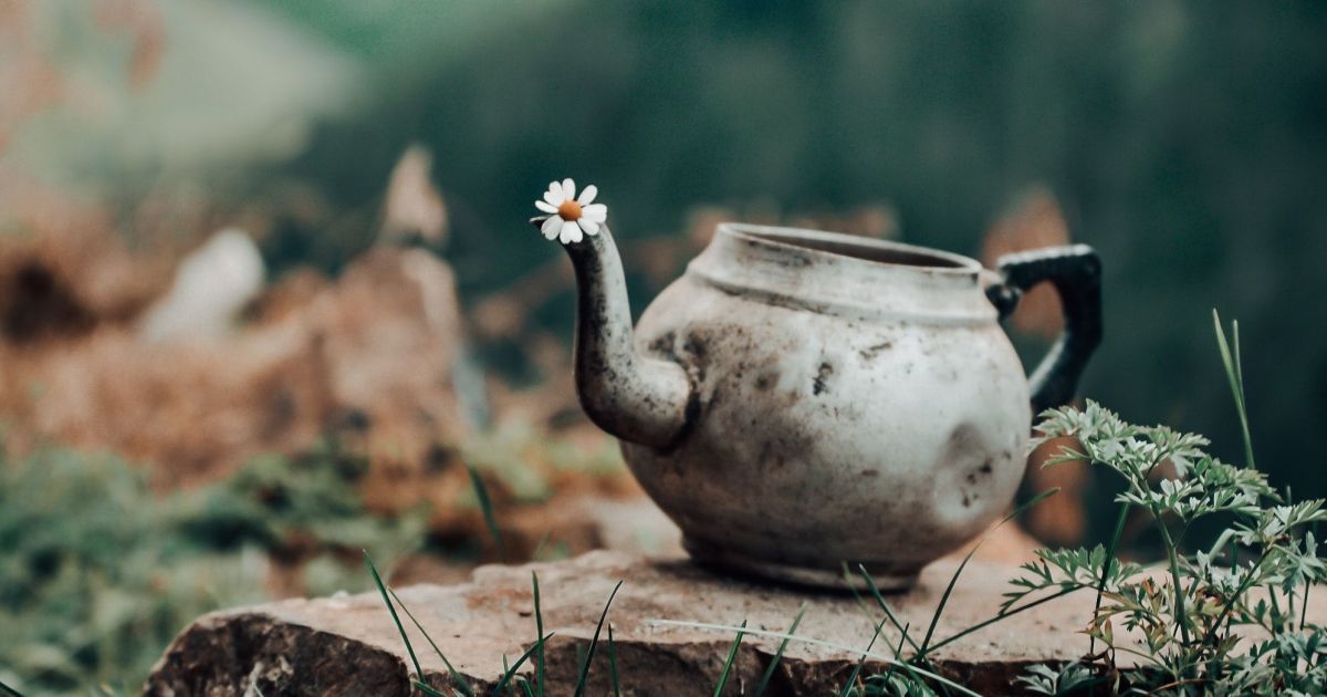 Какой сегодня праздник – 20 сентября