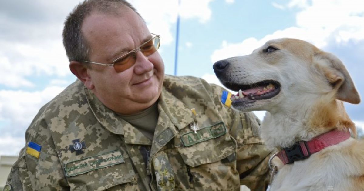 Собаки помогут силовикам пройти реабилитацию / © УНИАН