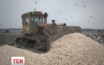 В России раздавили 18 тонн "санкционных" грибов из Польши