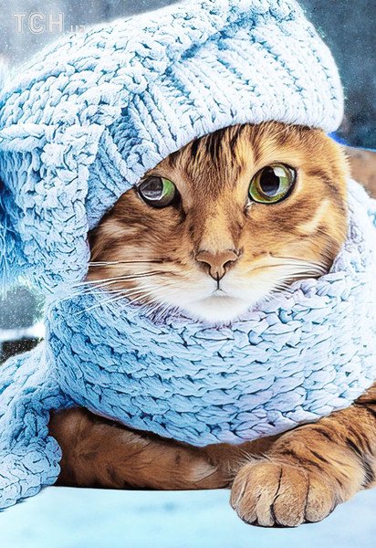 Зима в Украине