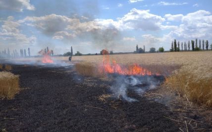 Росія знищує українську природу: екозахисники б'ють на сполох та вимагають від світу визнати це екоцидом