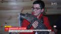 Аллигатор, что спасает от депрессии: 10-килограммовая рептилия стала домашним любимцем американца
