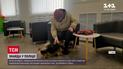 Новости Украины: ровенские полицейские вернули хозяевам потерянного пикинеса